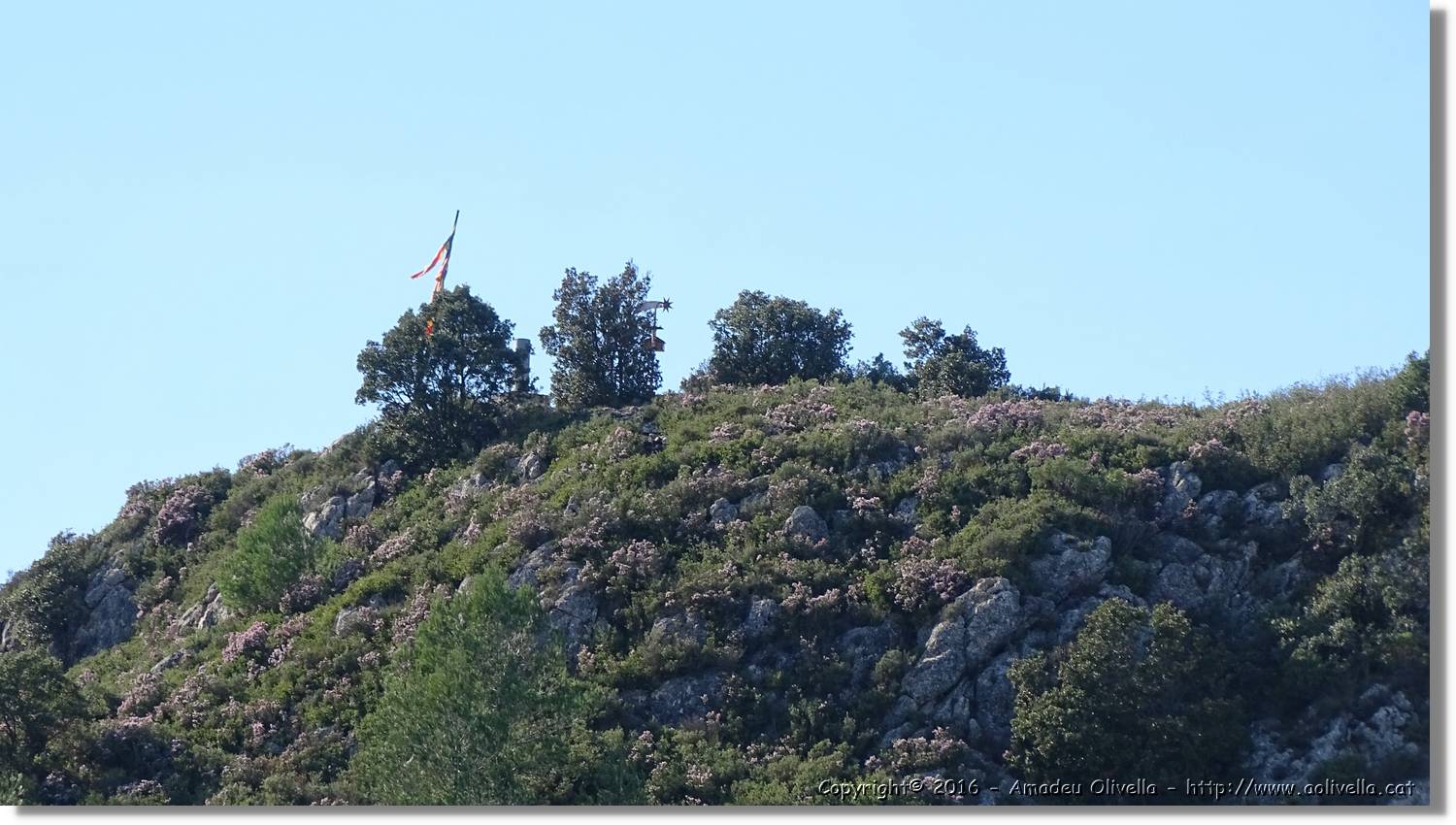 Montmell_069.jpg