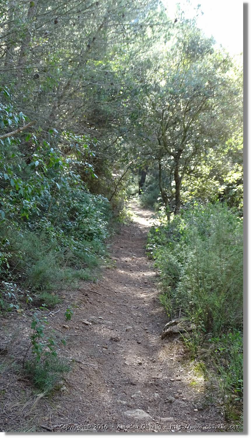 Montmell_078.jpg