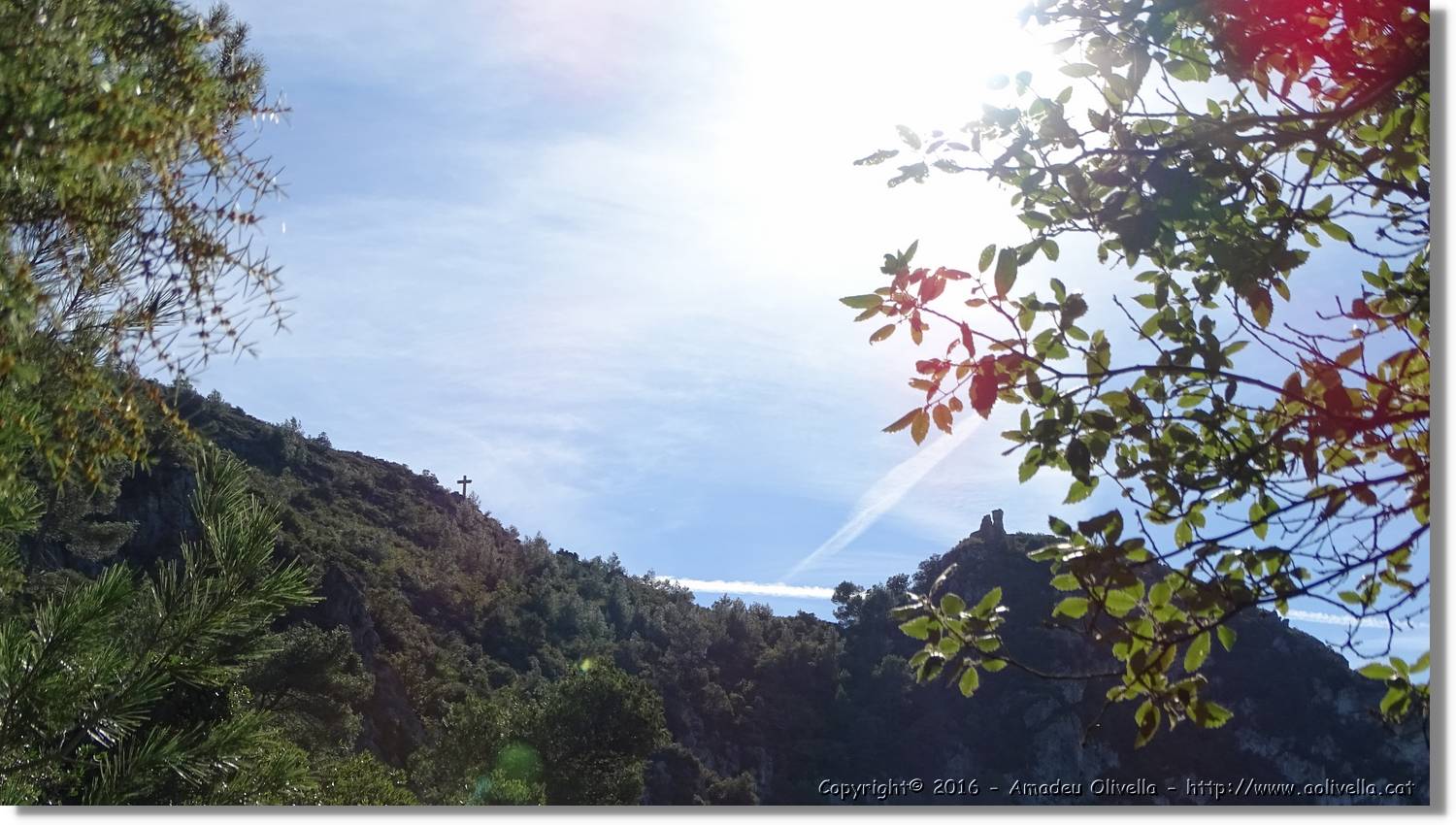 Montmell_086.jpg