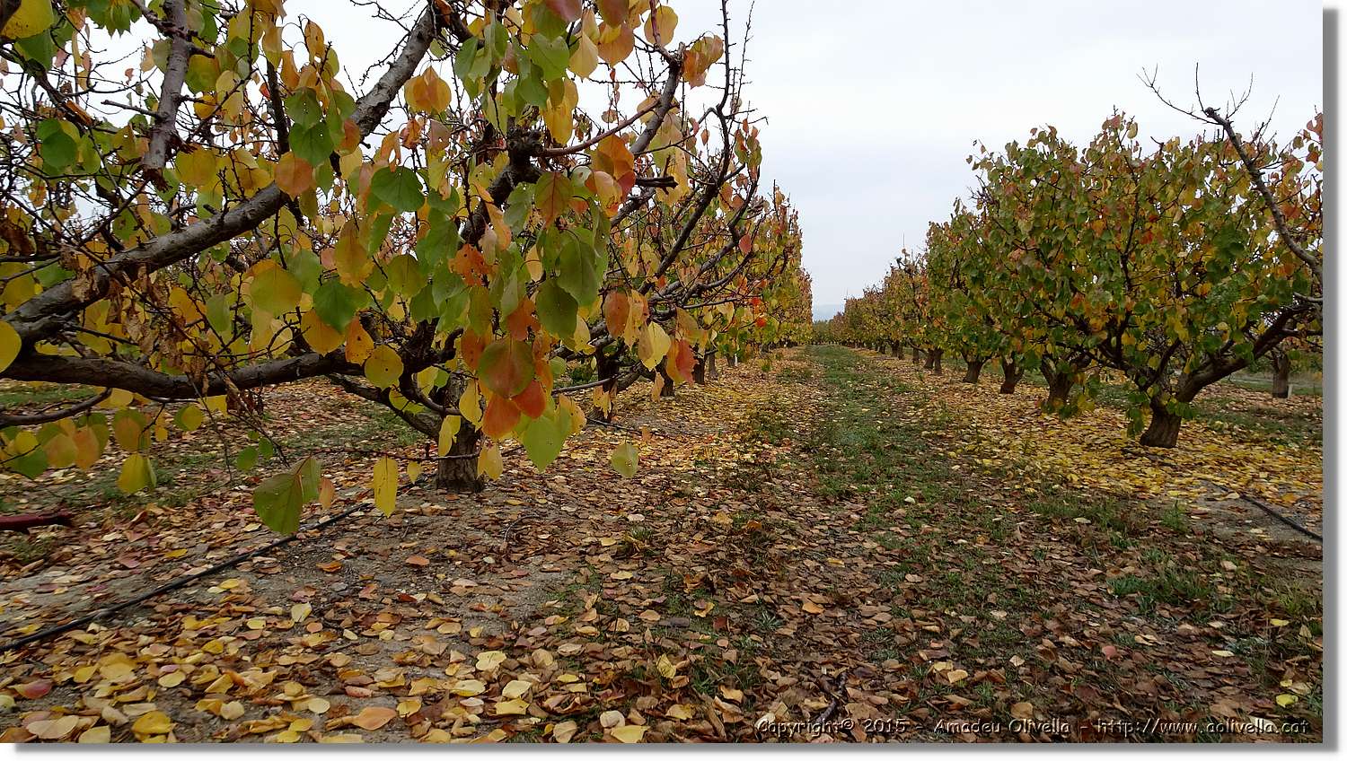 Montmeneu_058.jpg