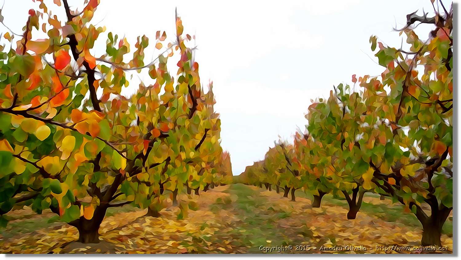 Montmeneu_063.jpg