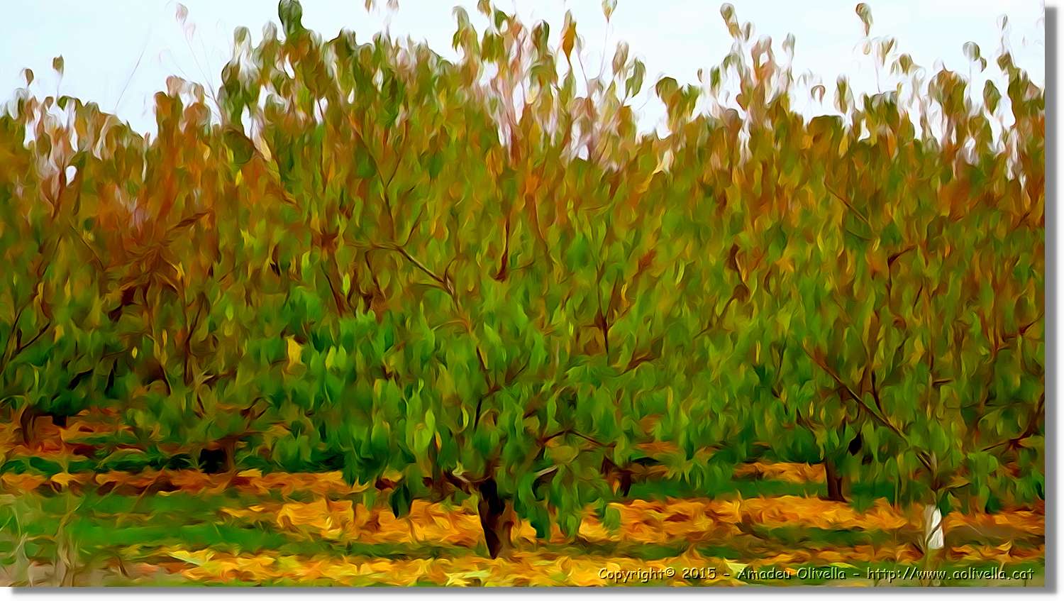 Montmeneu_093.jpg