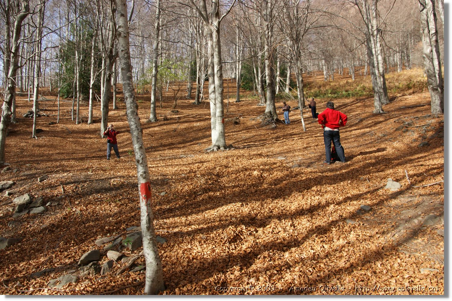 Montseny_014.jpg