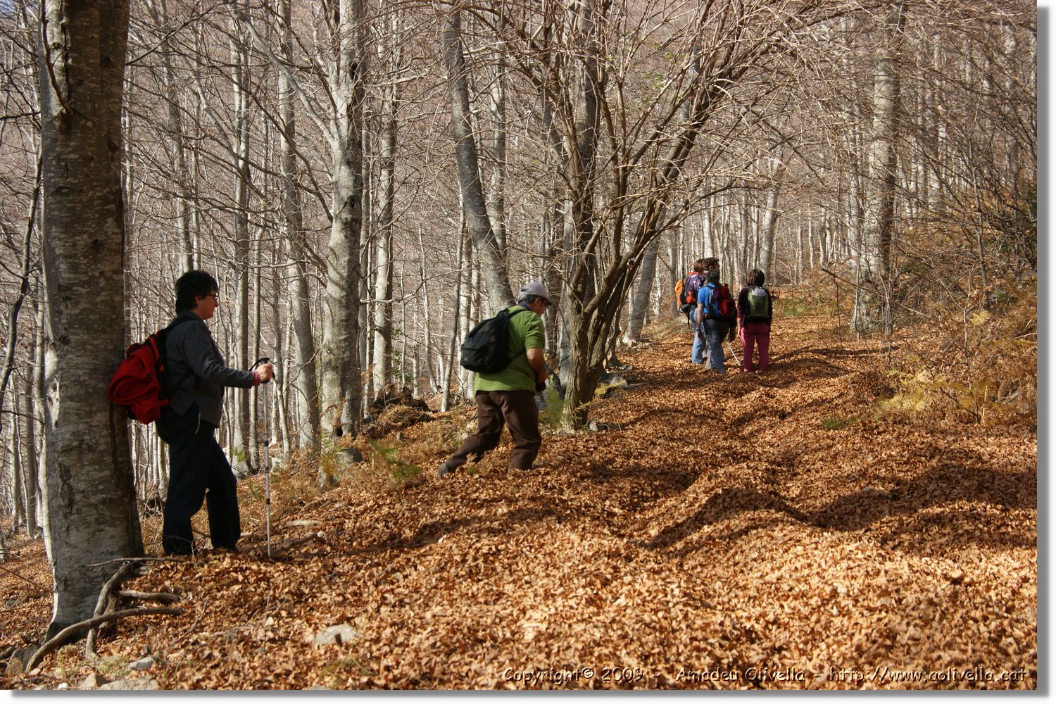 Montseny_036.jpg