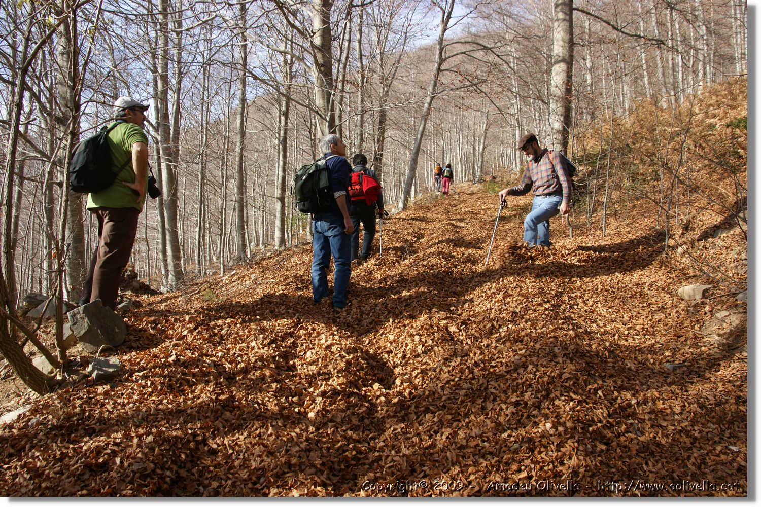 Montseny_037.jpg