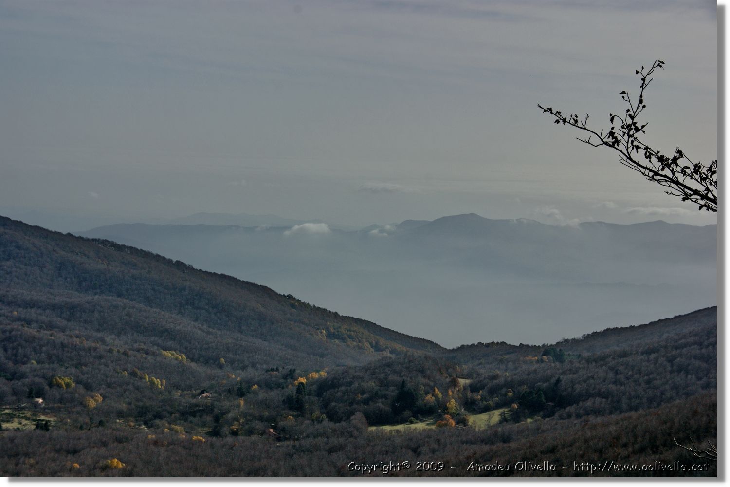 Montseny_045.jpg