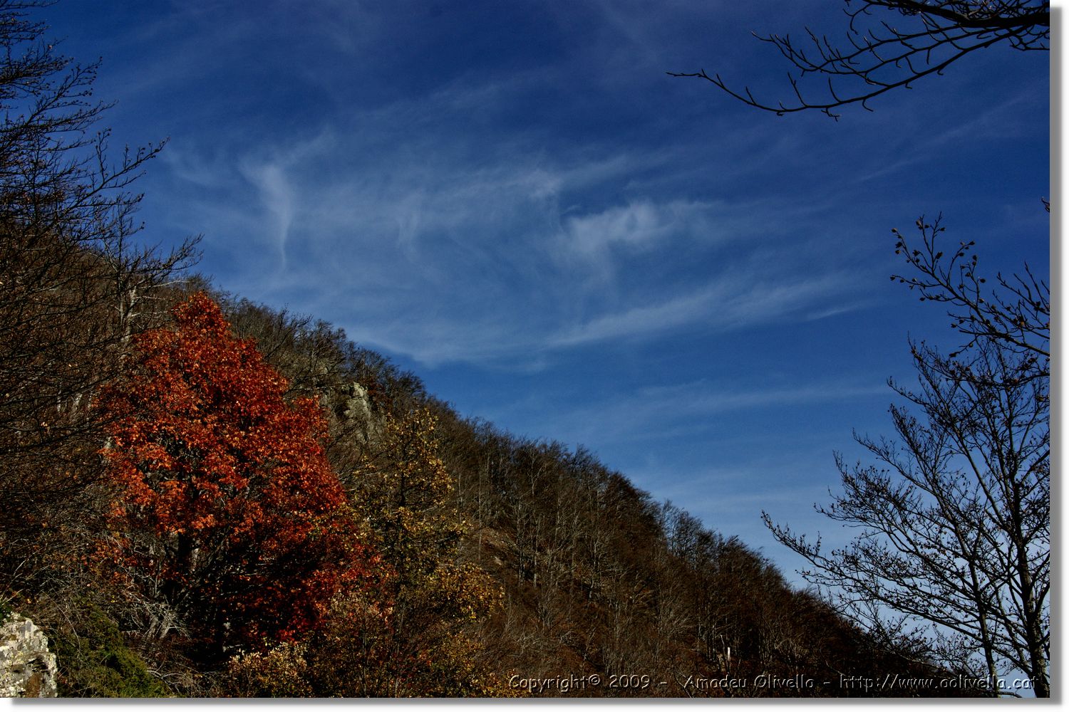 Montseny_049.jpg