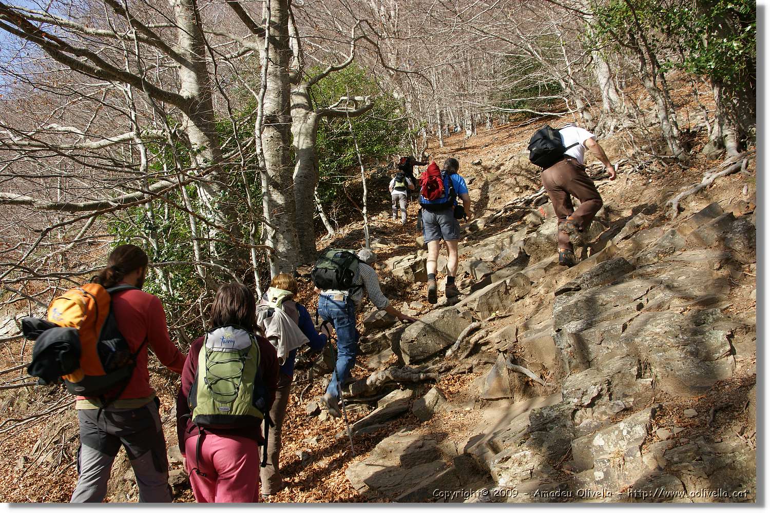 Montseny_054.jpg