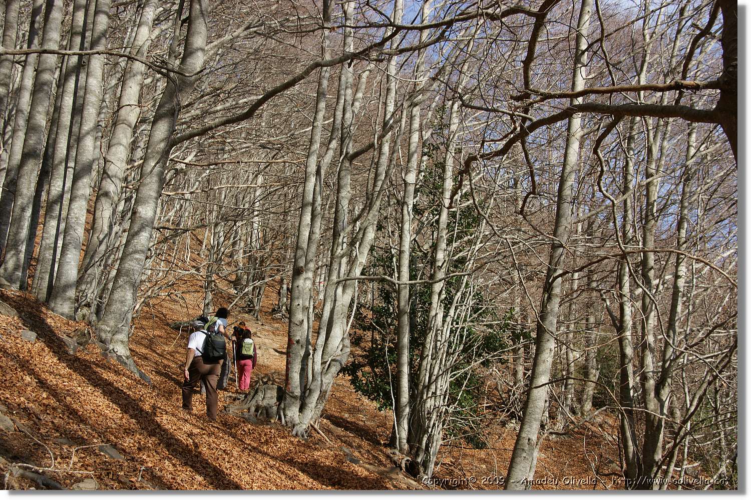 Montseny_055.jpg