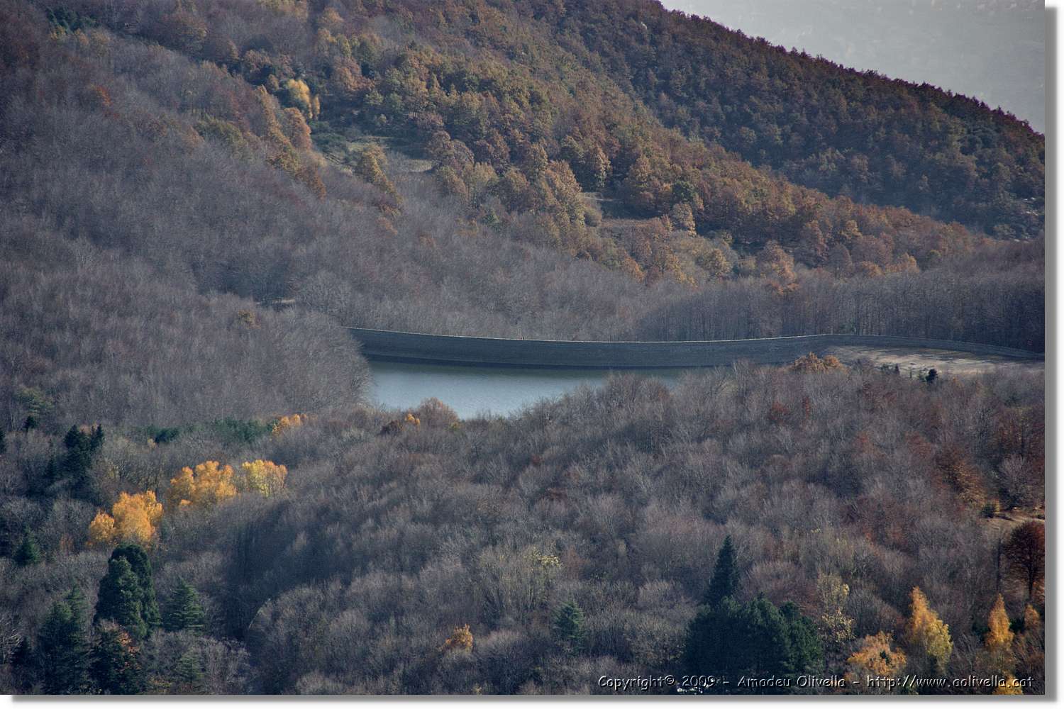 Montseny_060.jpg