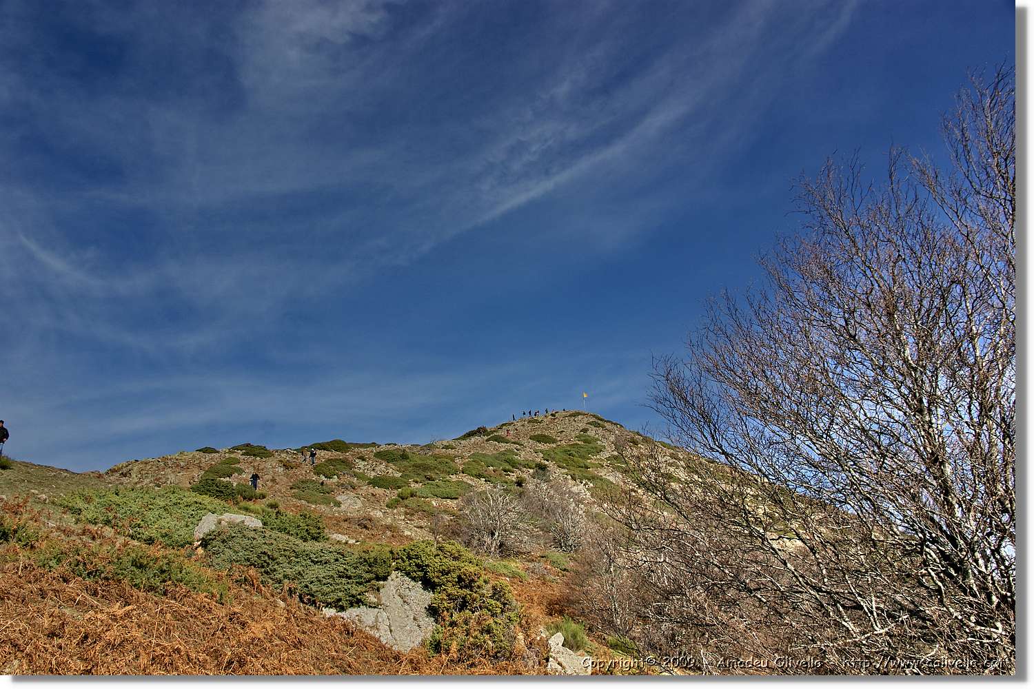 Montseny_066.jpg