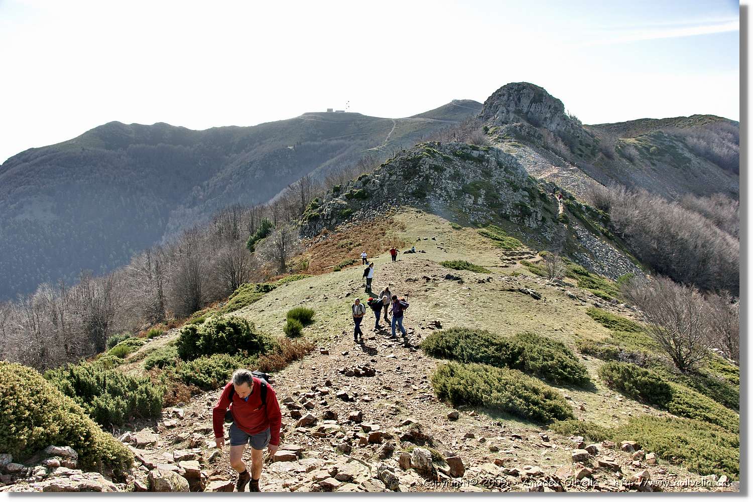 Montseny_069.jpg