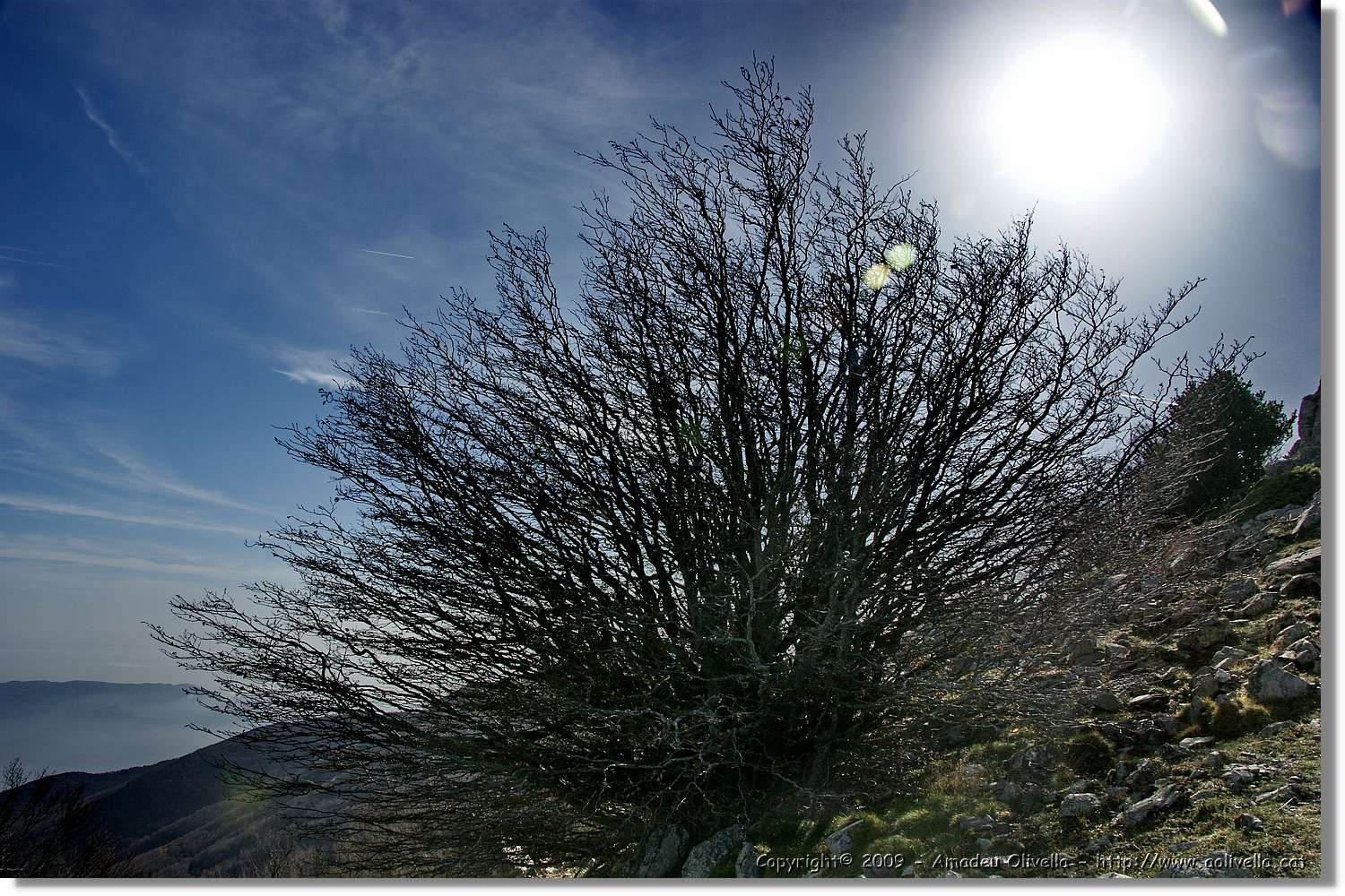 Montseny_088.jpg