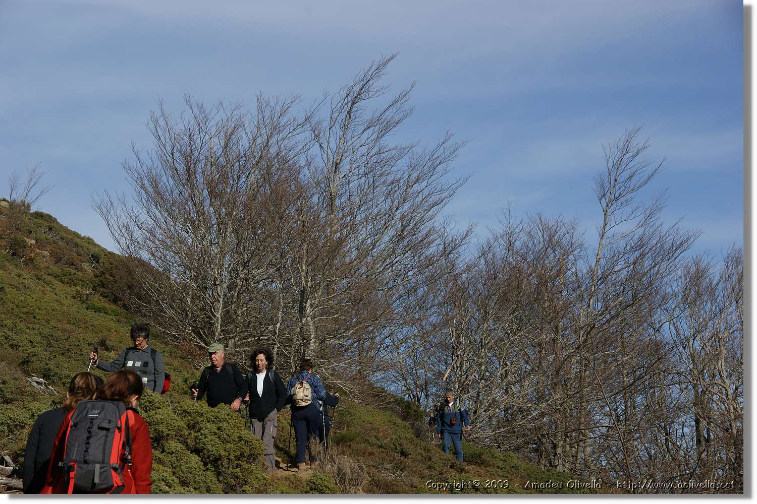 Montseny_106.jpg