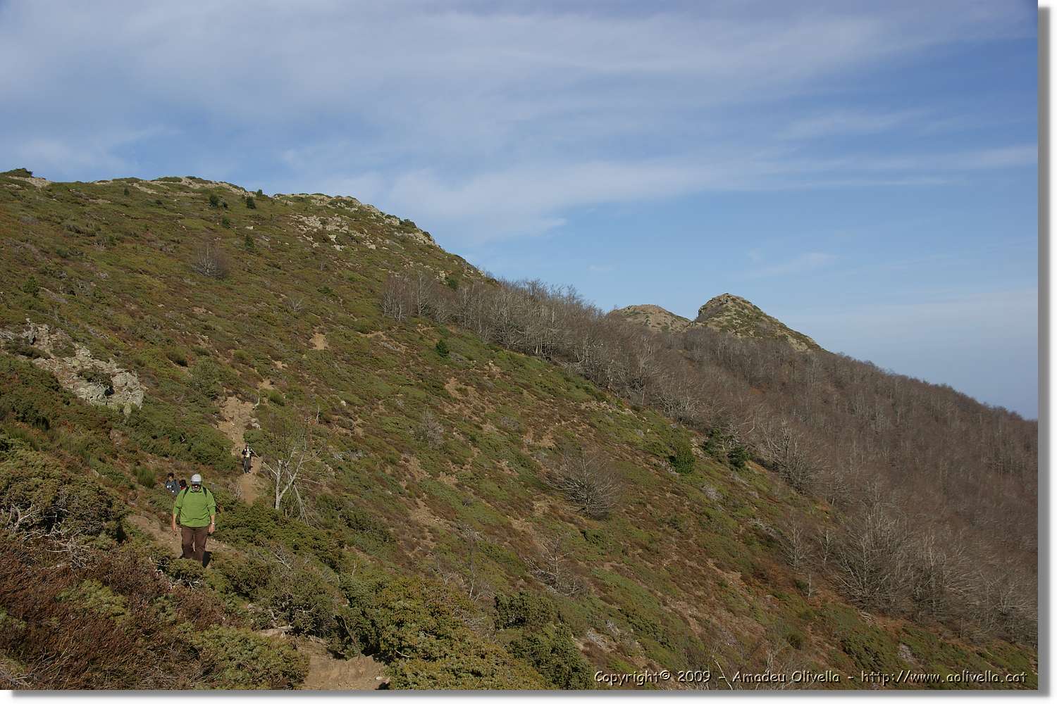 Montseny_108.jpg