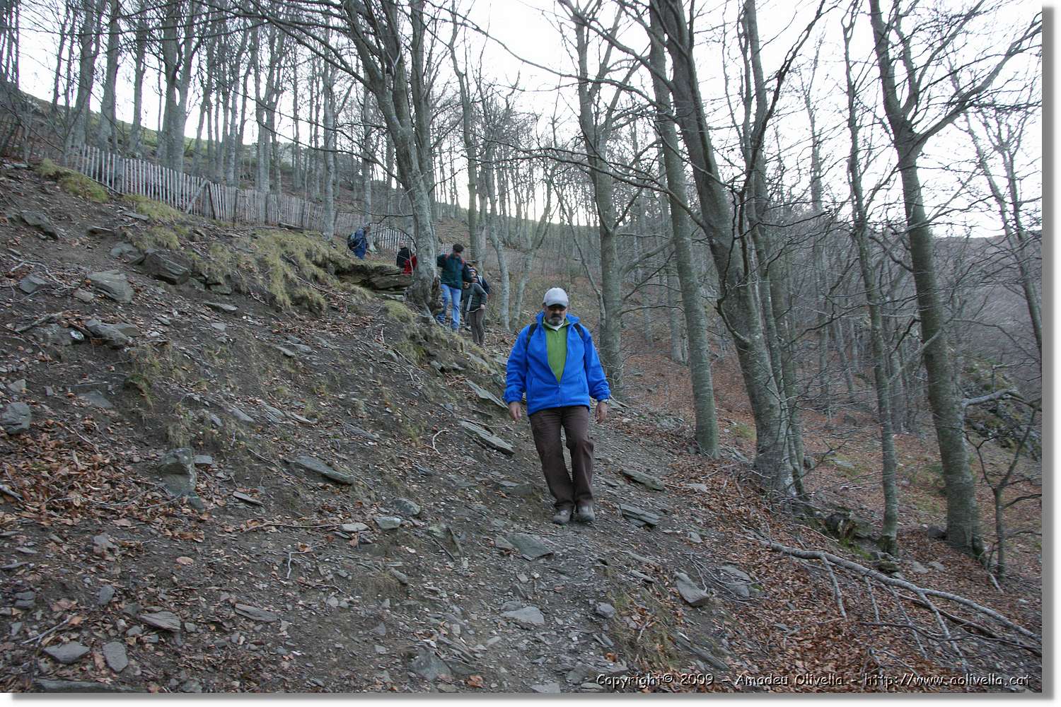 Montseny_143.jpg