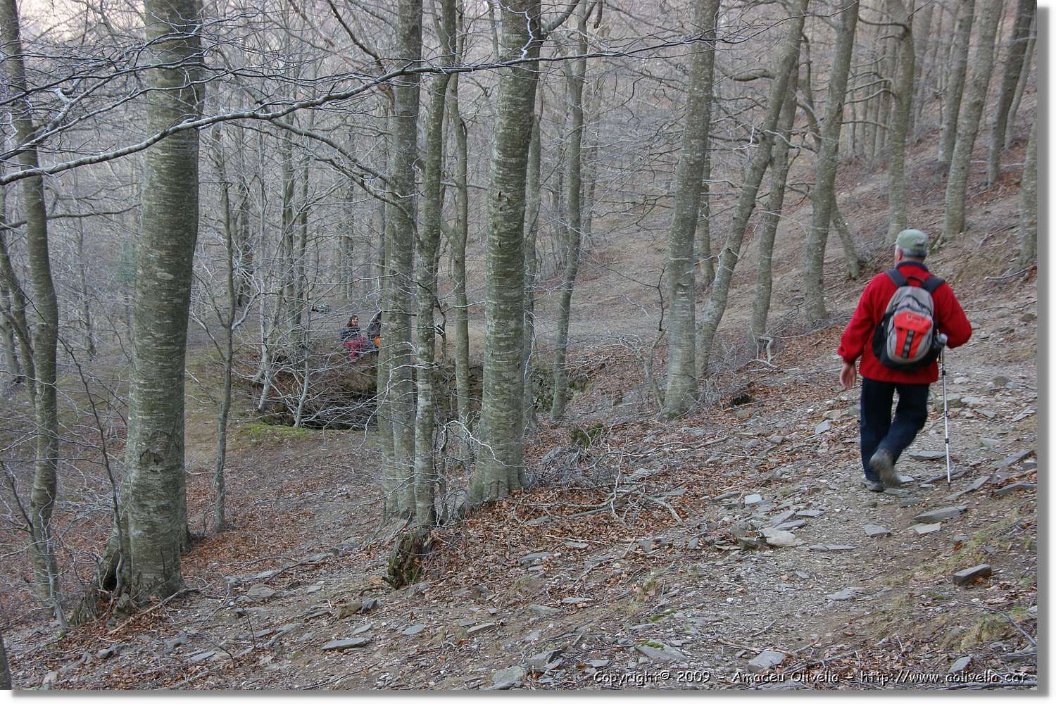 Montseny_144.jpg
