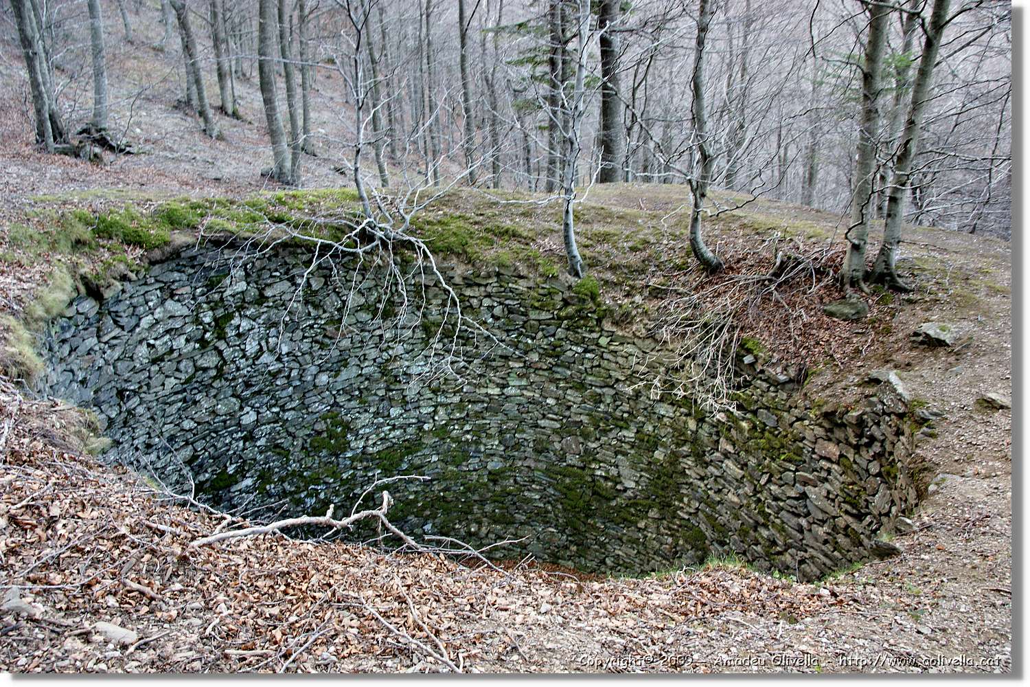 Montseny_145.jpg
