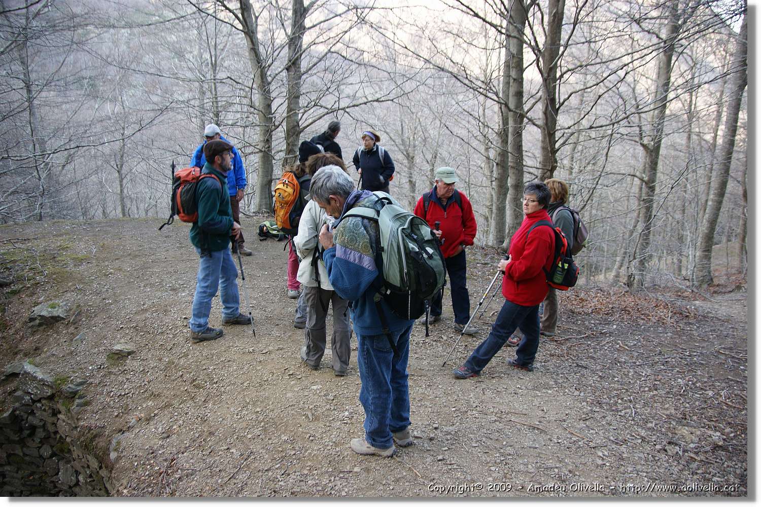 Montseny_148.jpg