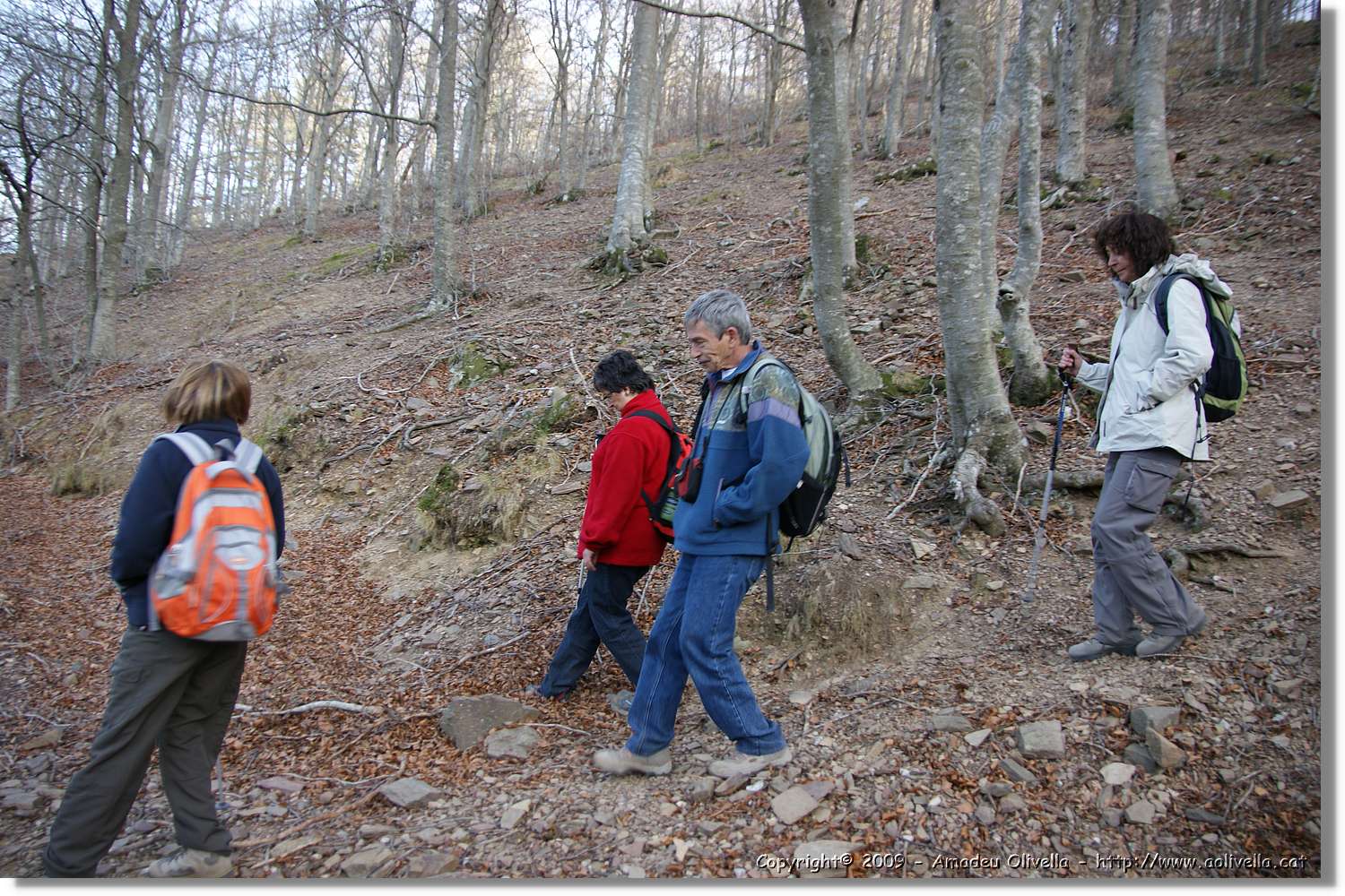Montseny_150.jpg