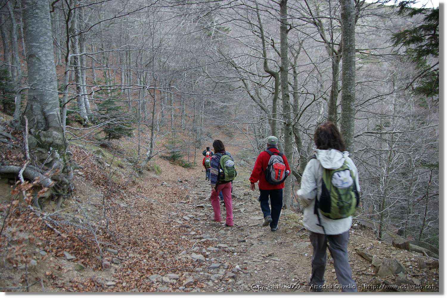 Montseny_151.jpg