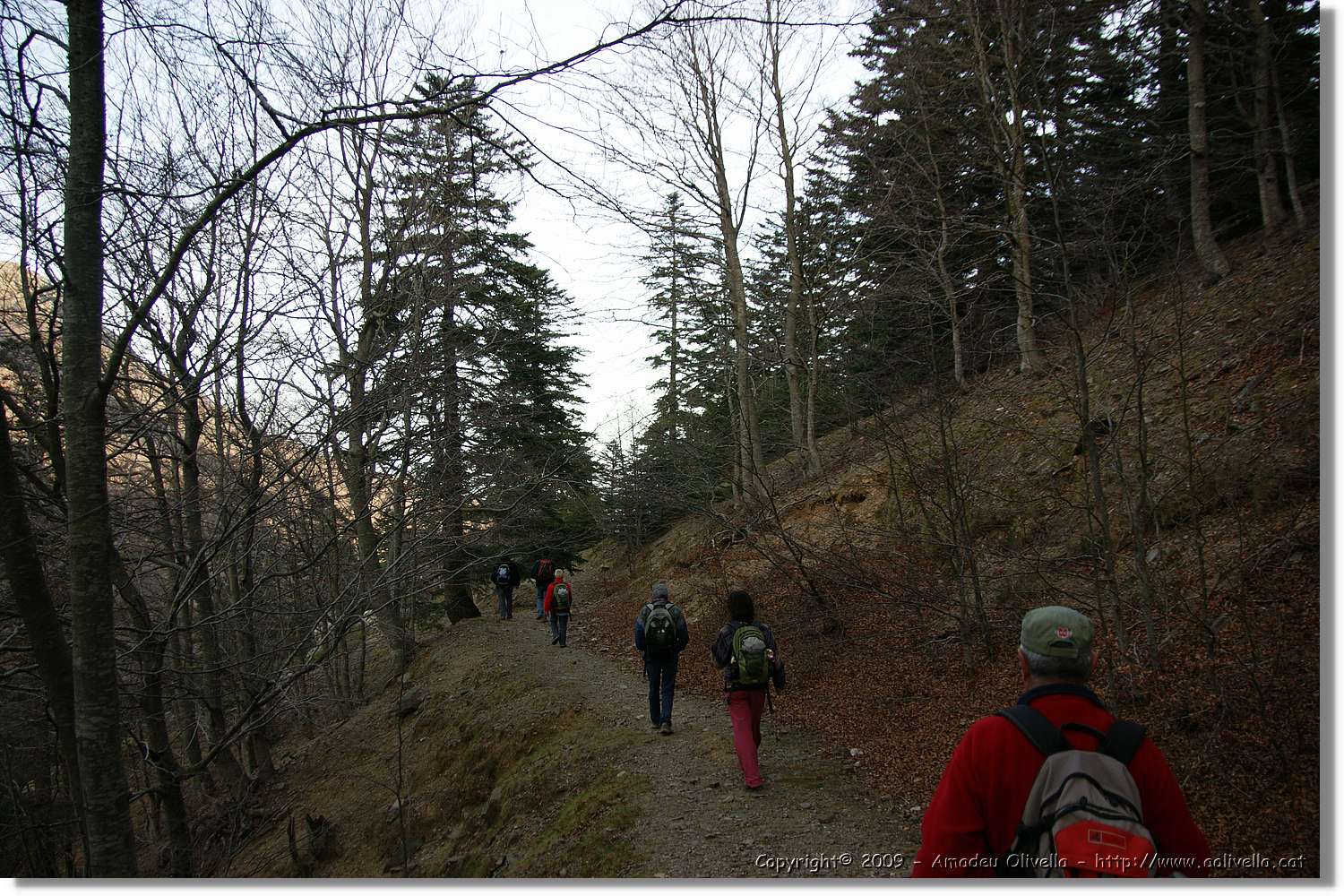 Montseny_152.jpg