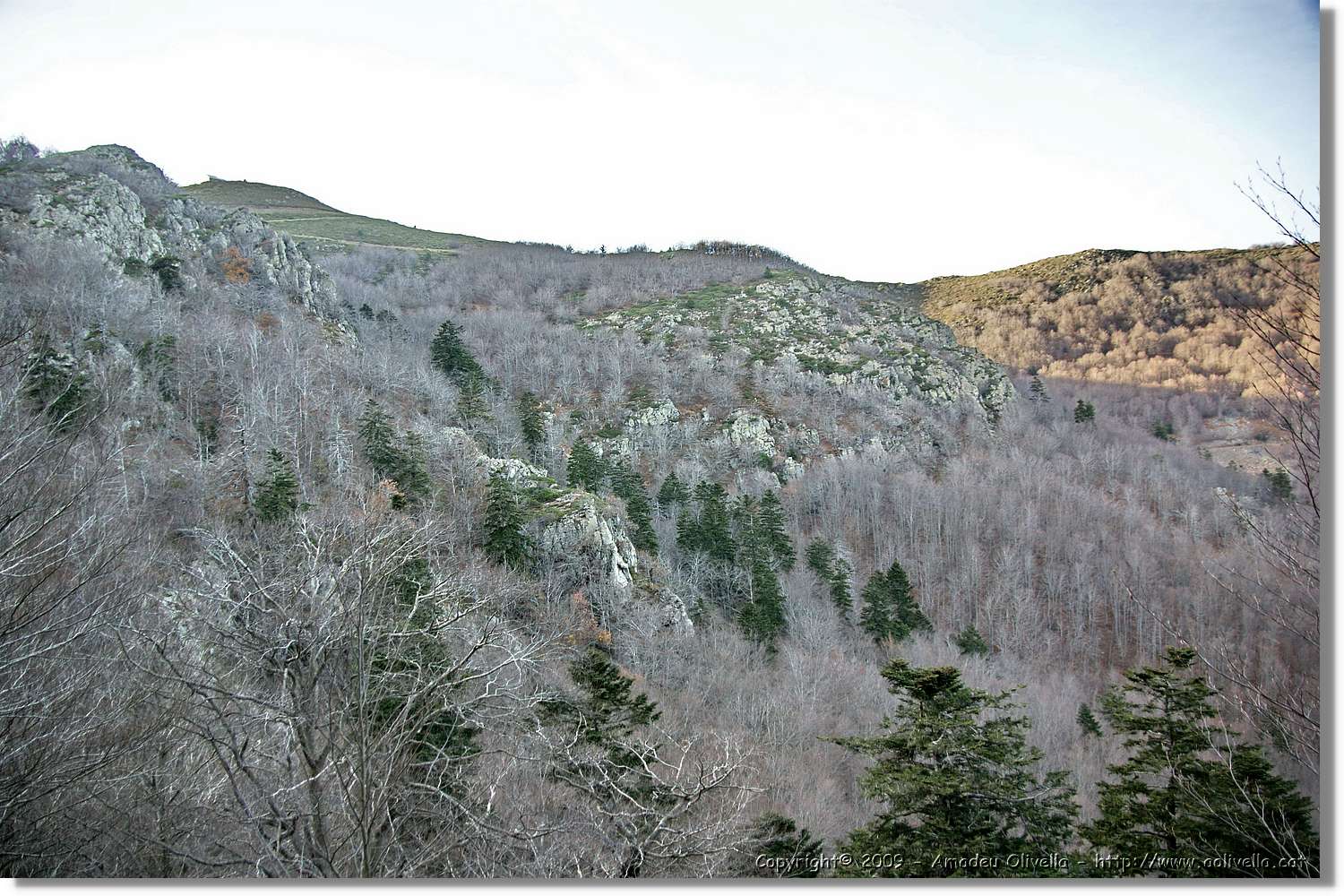 Montseny_153.jpg