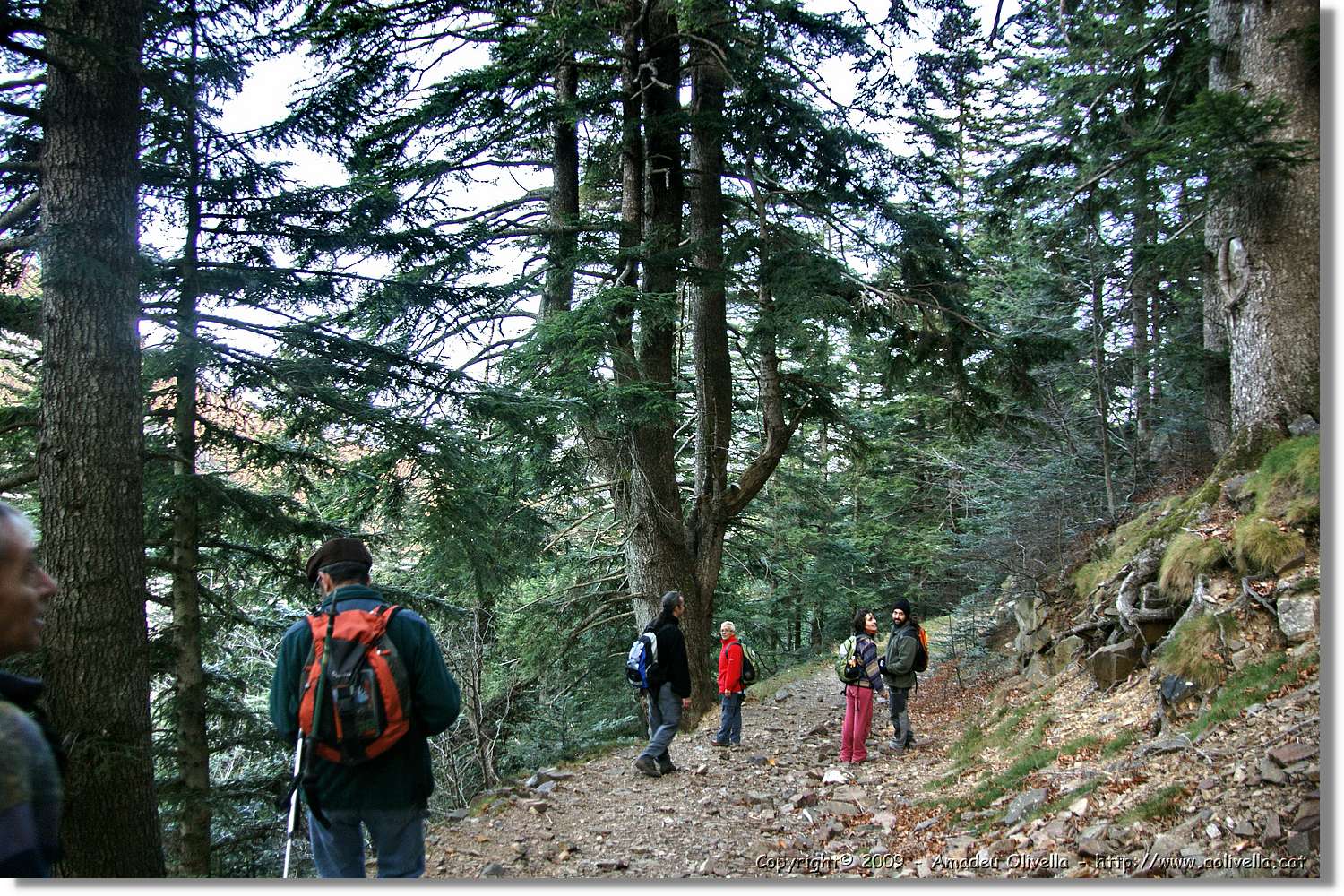 Montseny_154.jpg