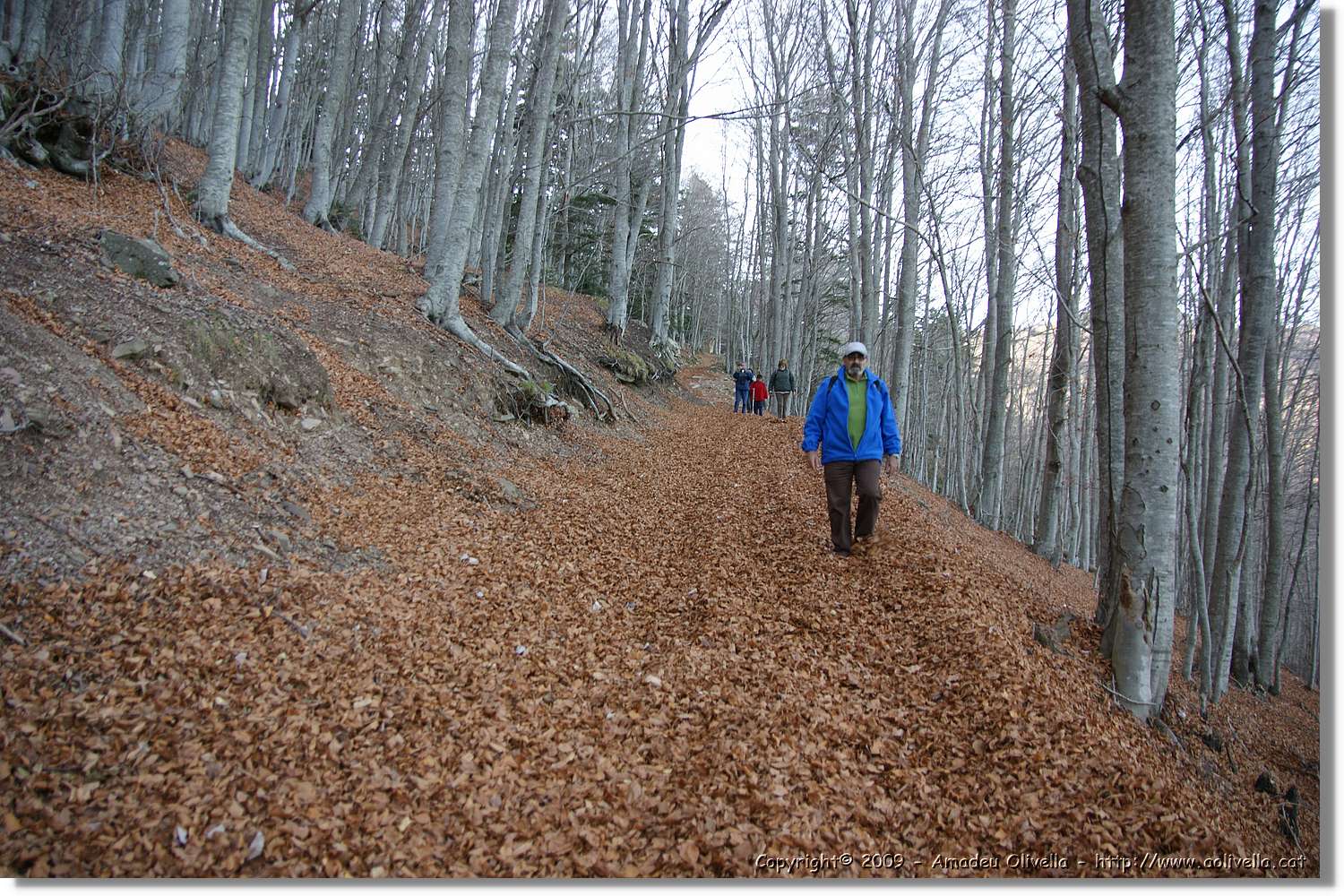 Montseny_156.jpg