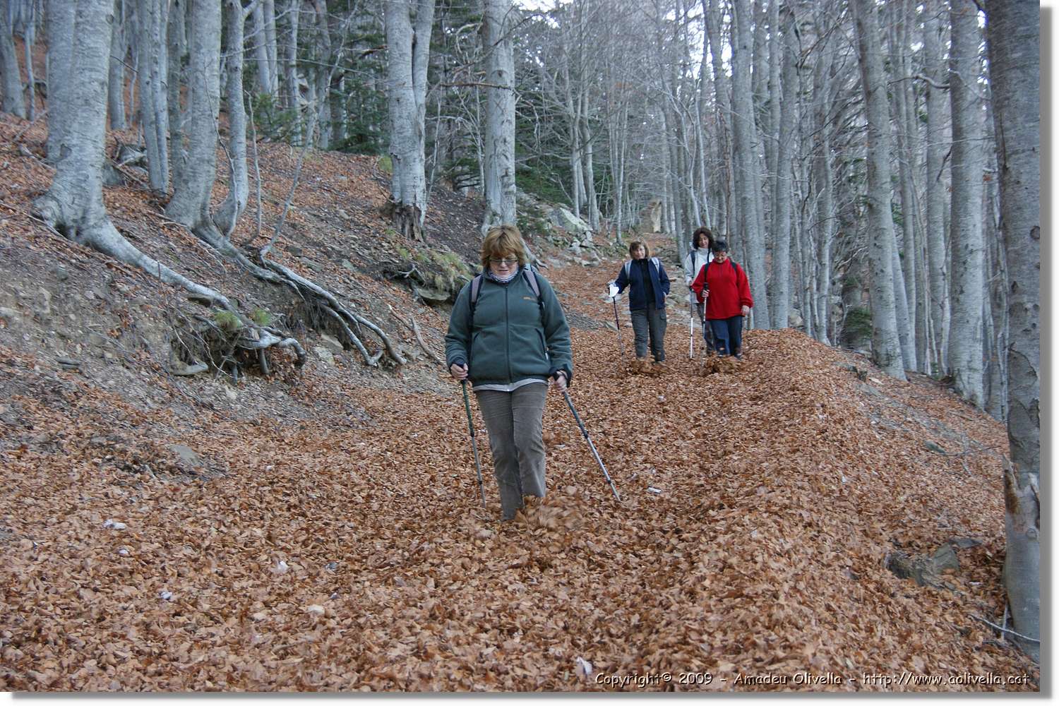 Montseny_157.jpg