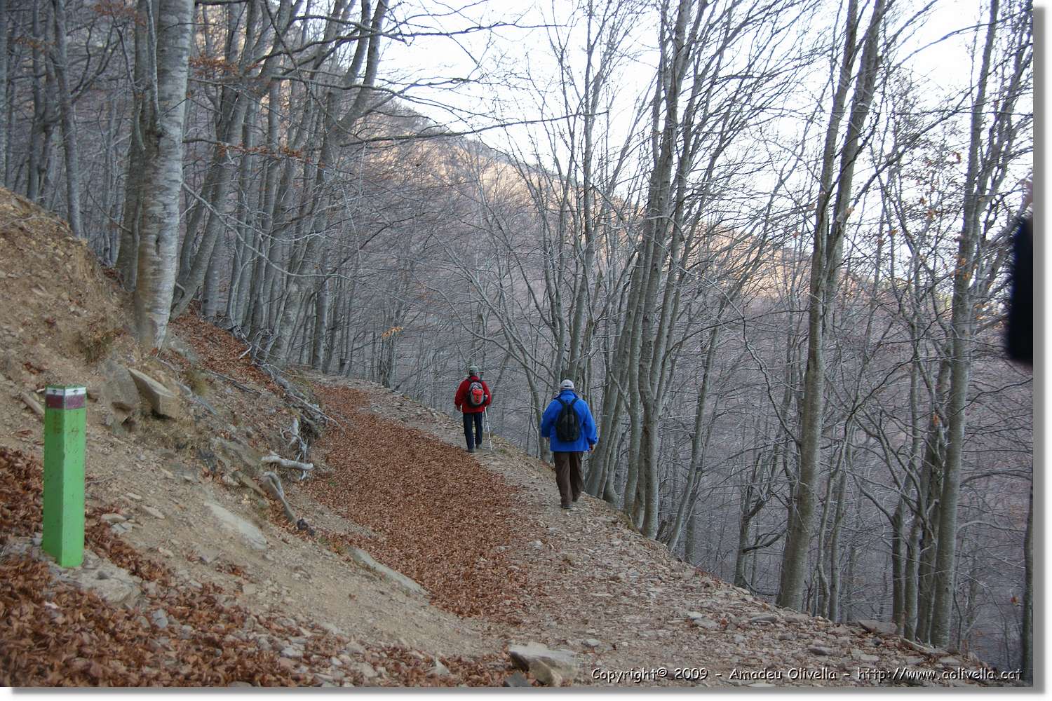 Montseny_159.jpg