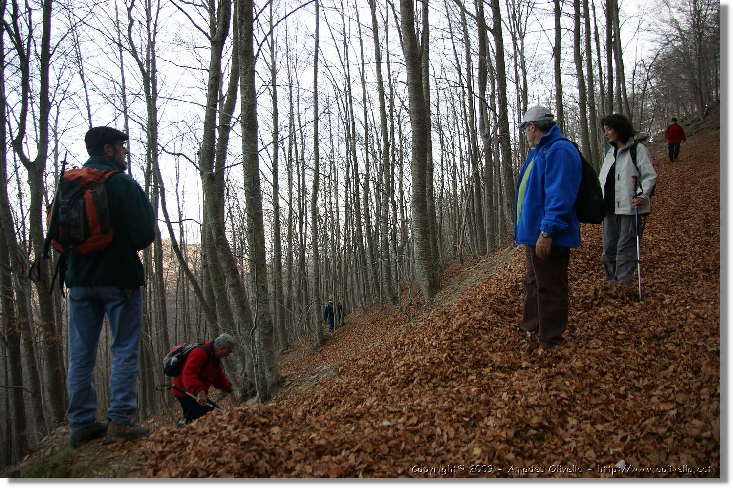 Montseny_160.jpg