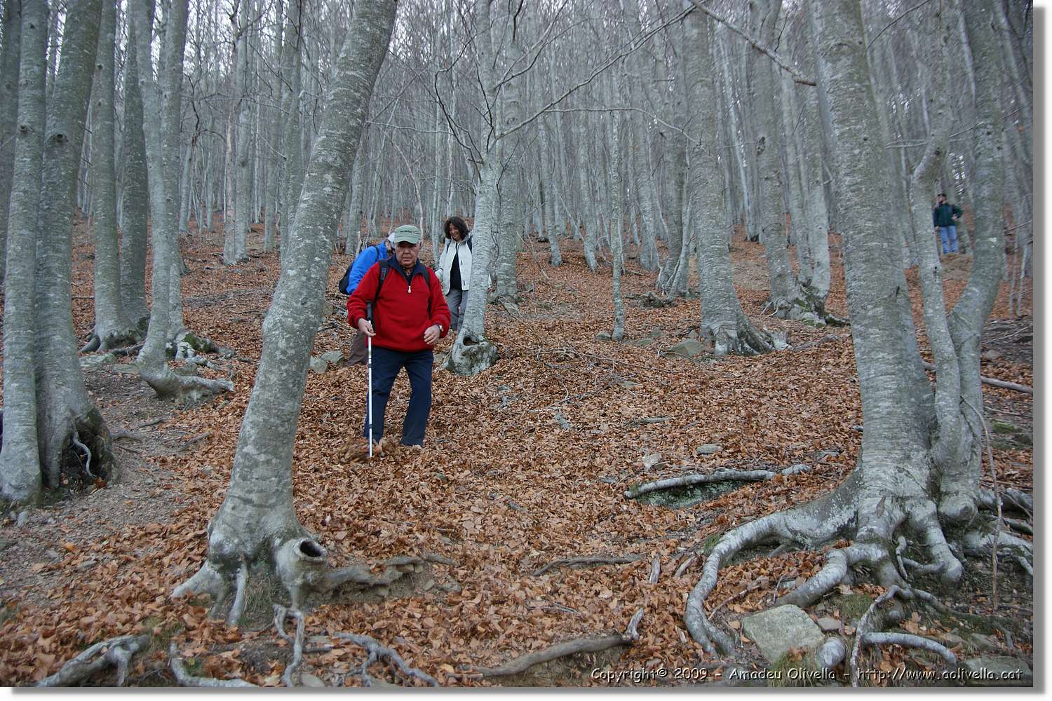 Montseny_161.jpg