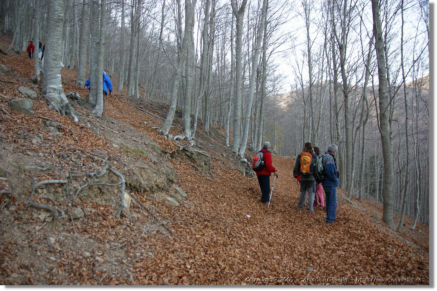 Montseny_162.jpg