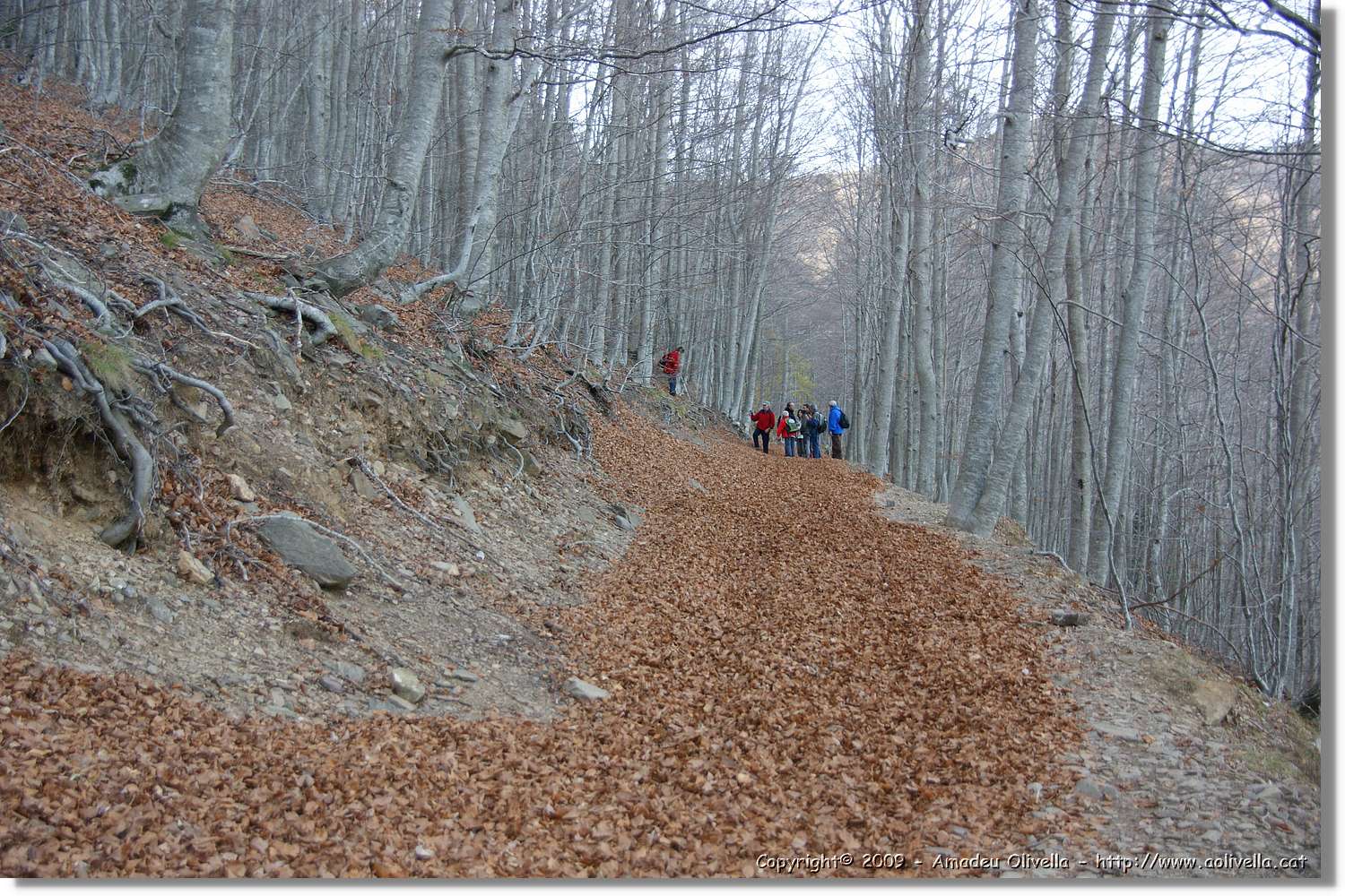 Montseny_163.jpg