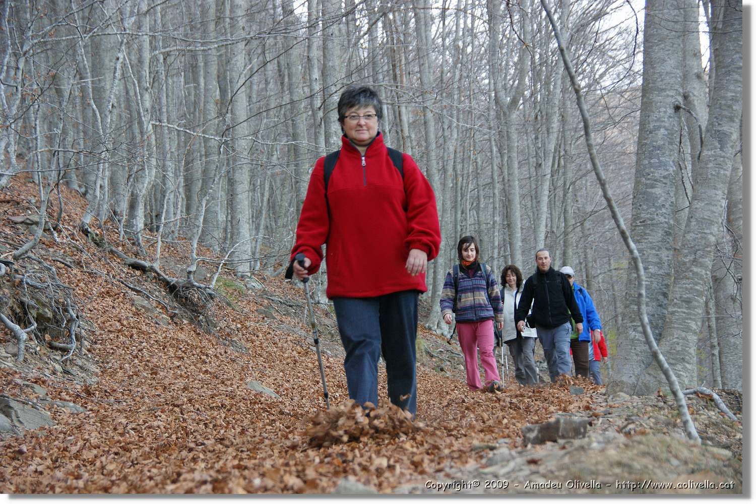 Montseny_165.jpg