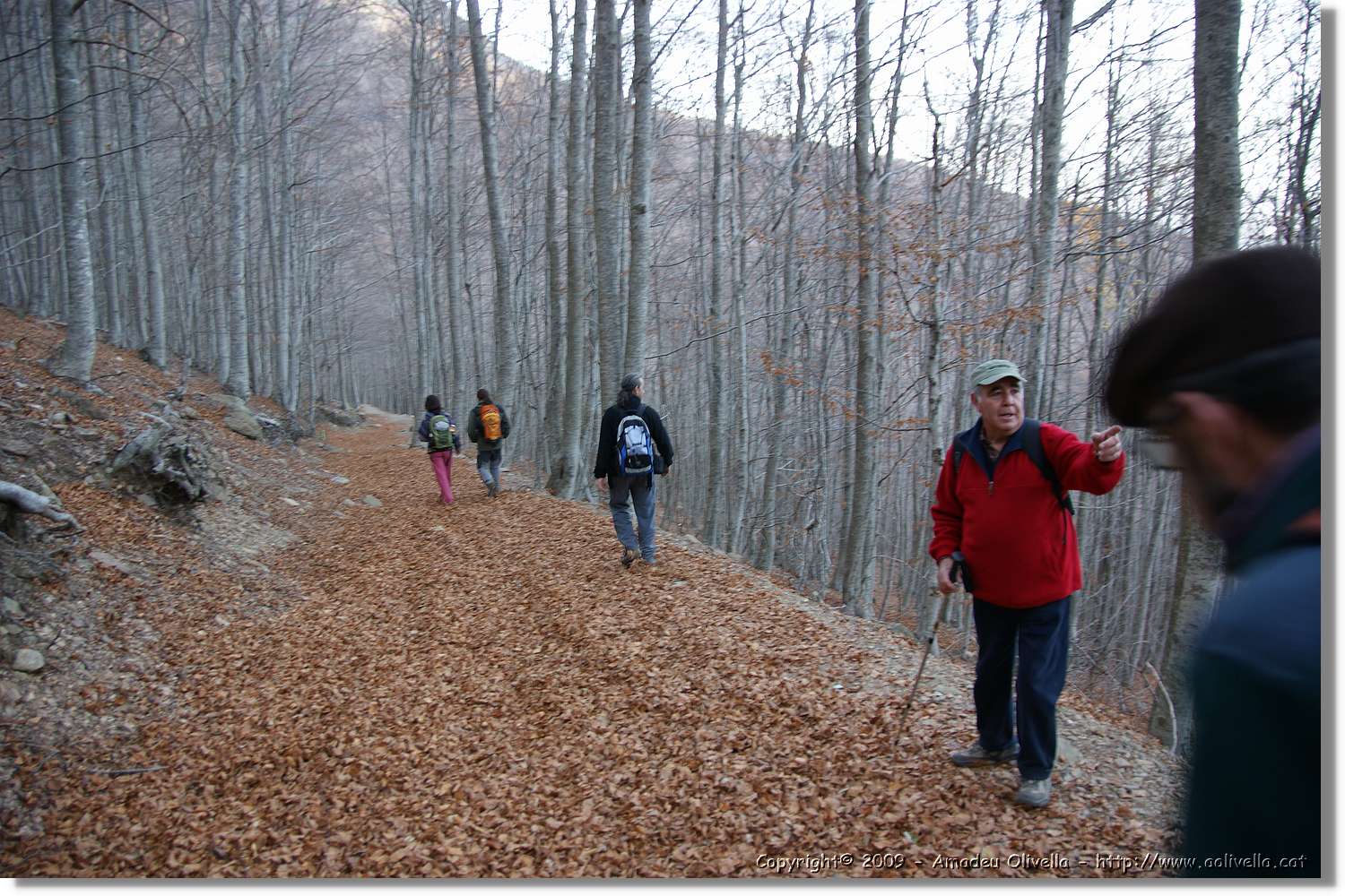 Montseny_167.jpg