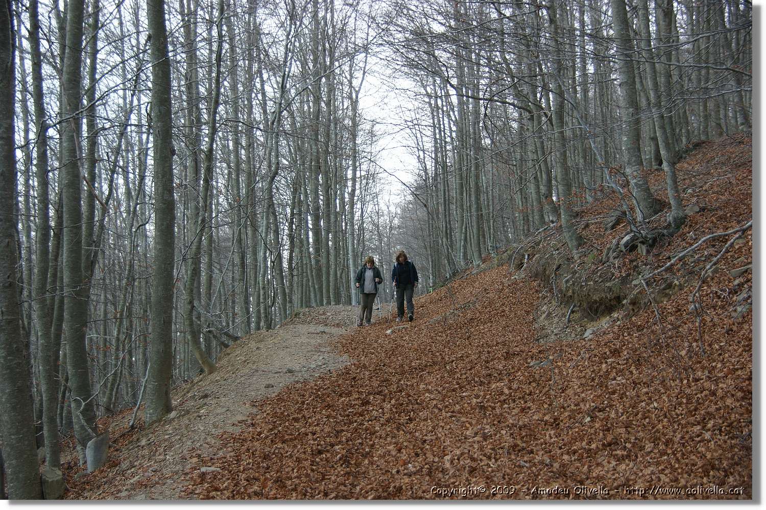 Montseny_168.jpg