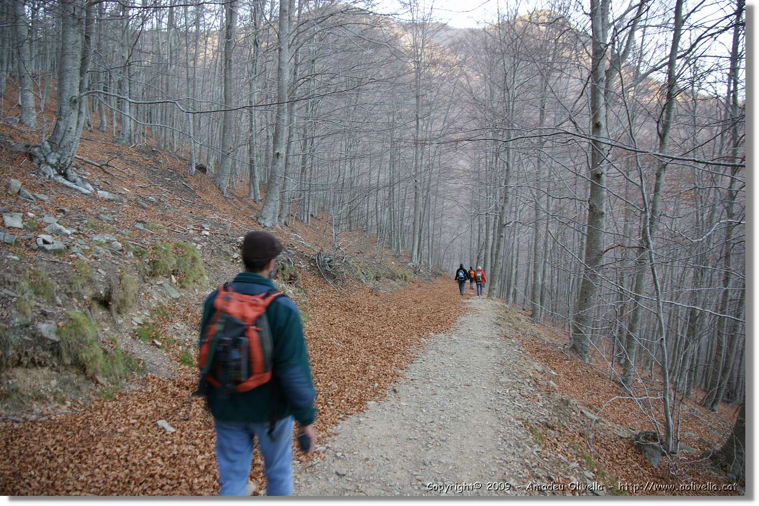 Montseny_169.jpg
