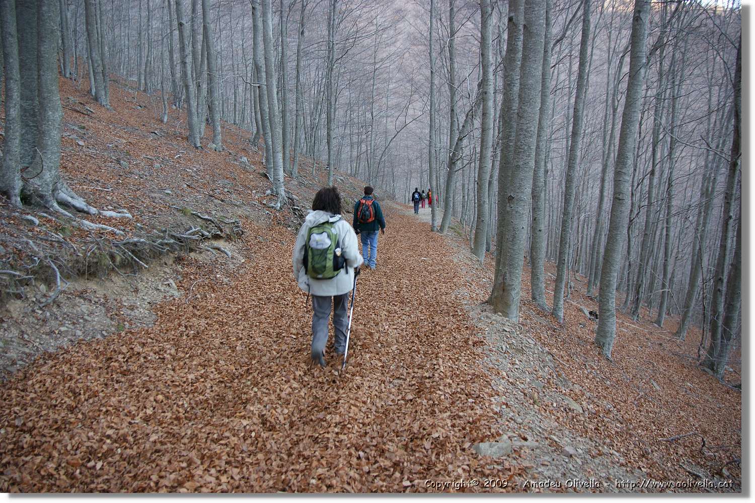 Montseny_170.jpg