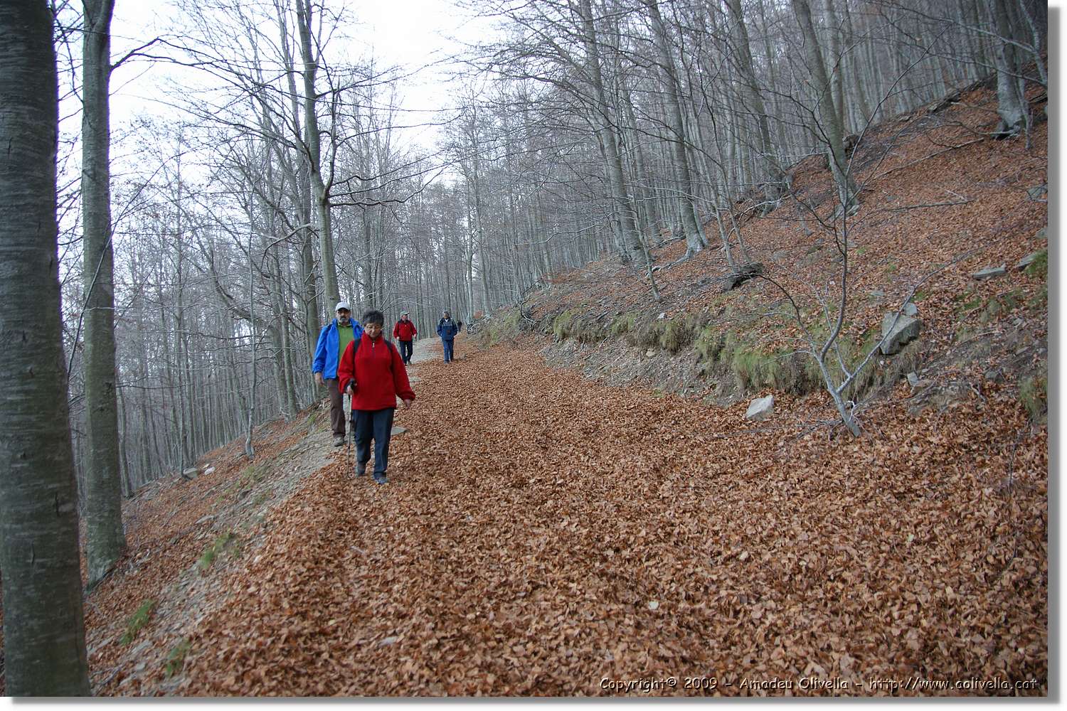 Montseny_171.jpg