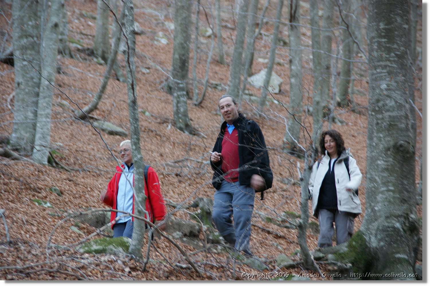 Montseny_177.jpg