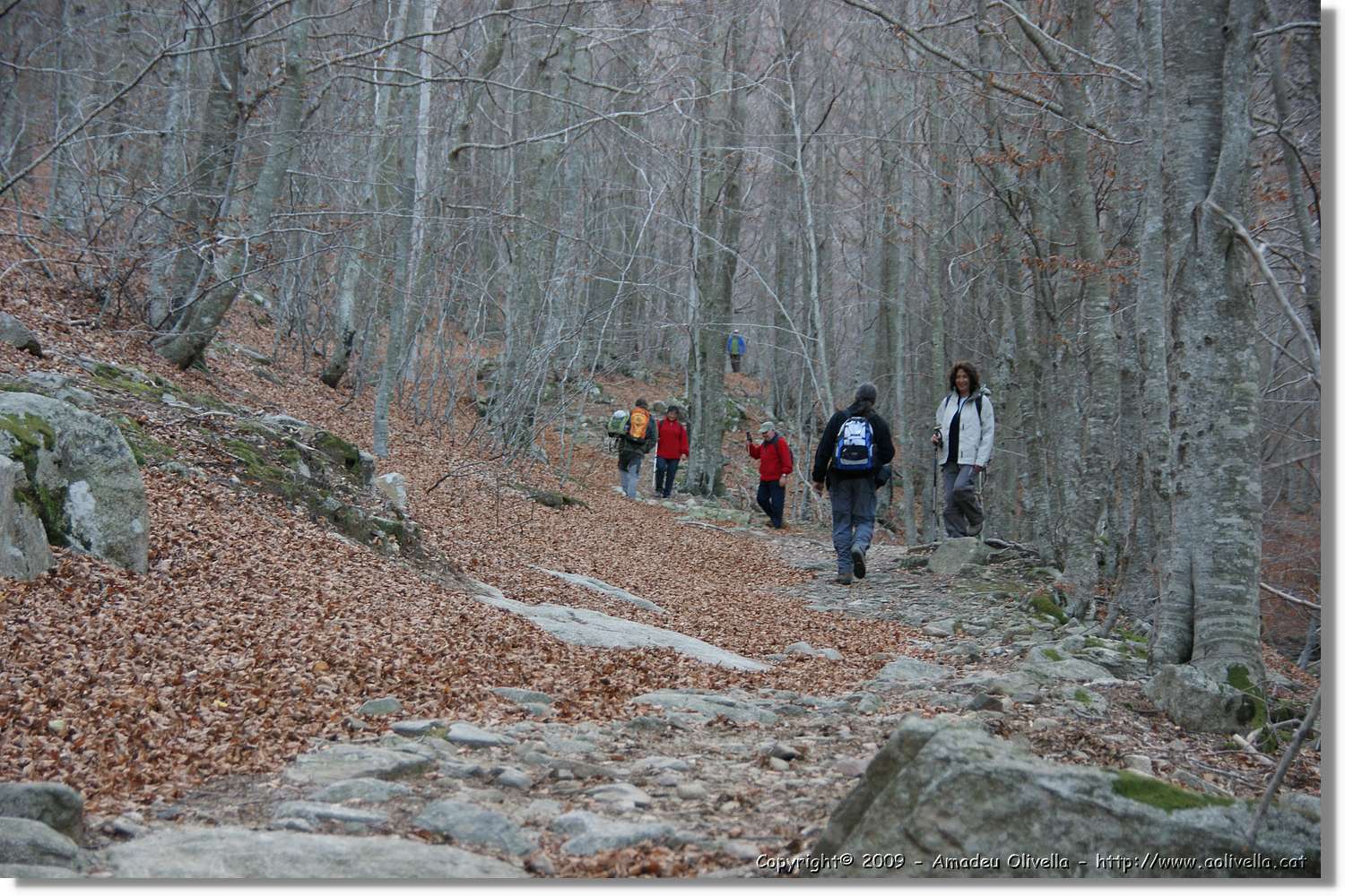 Montseny_179.jpg