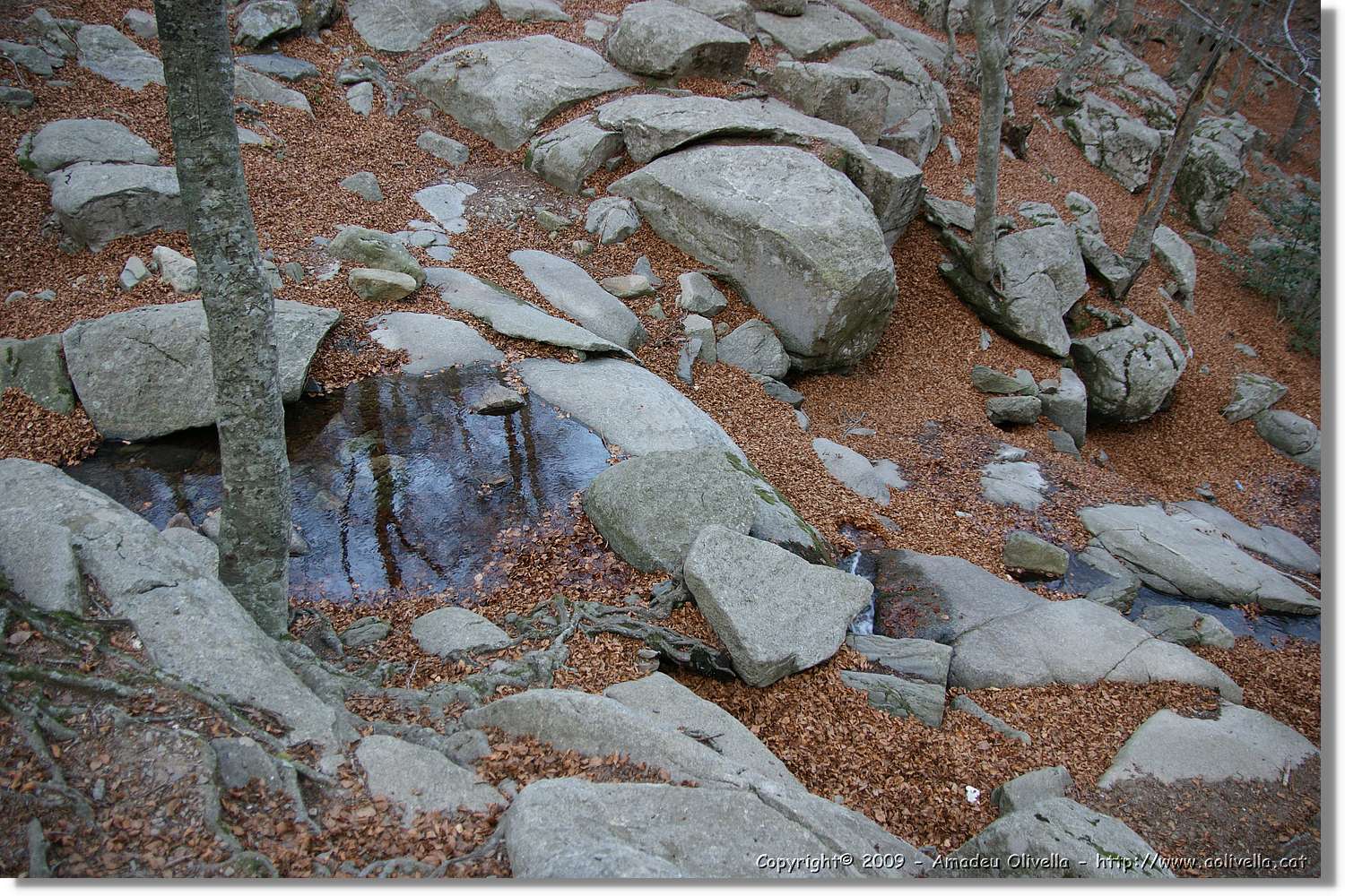 Montseny_185.jpg