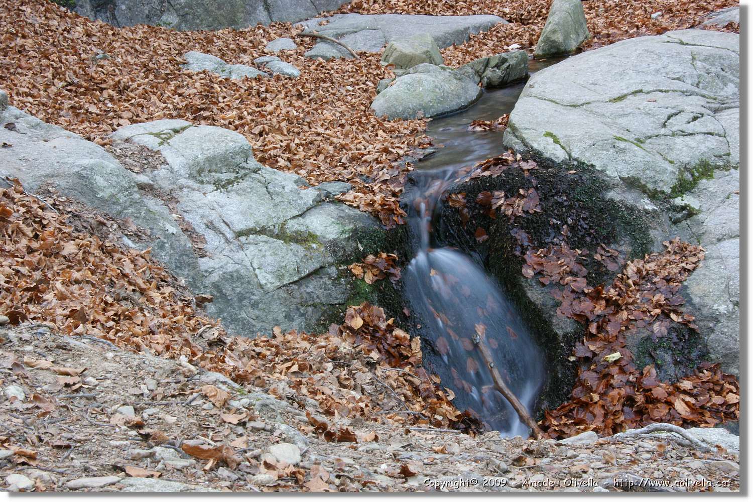 Montseny_186.jpg
