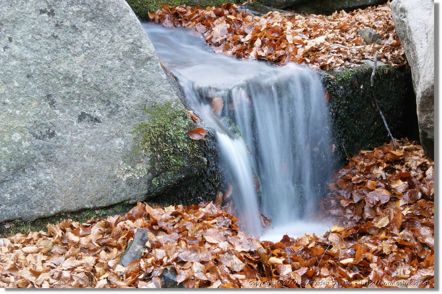 Montseny_188.jpg