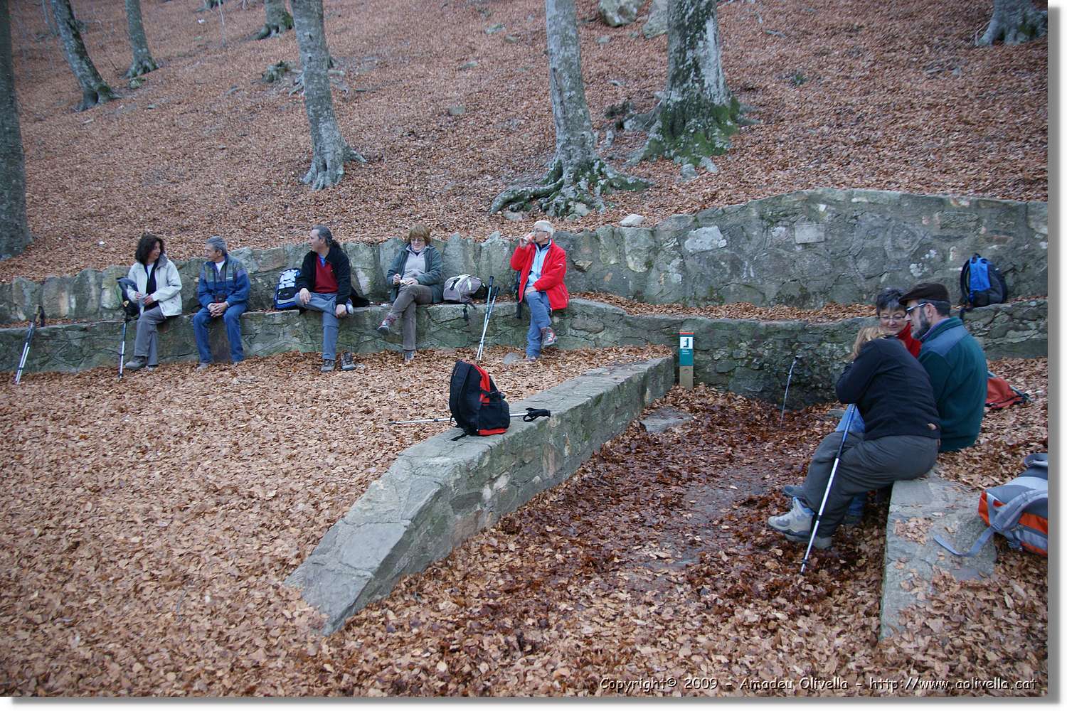 Montseny_192.jpg