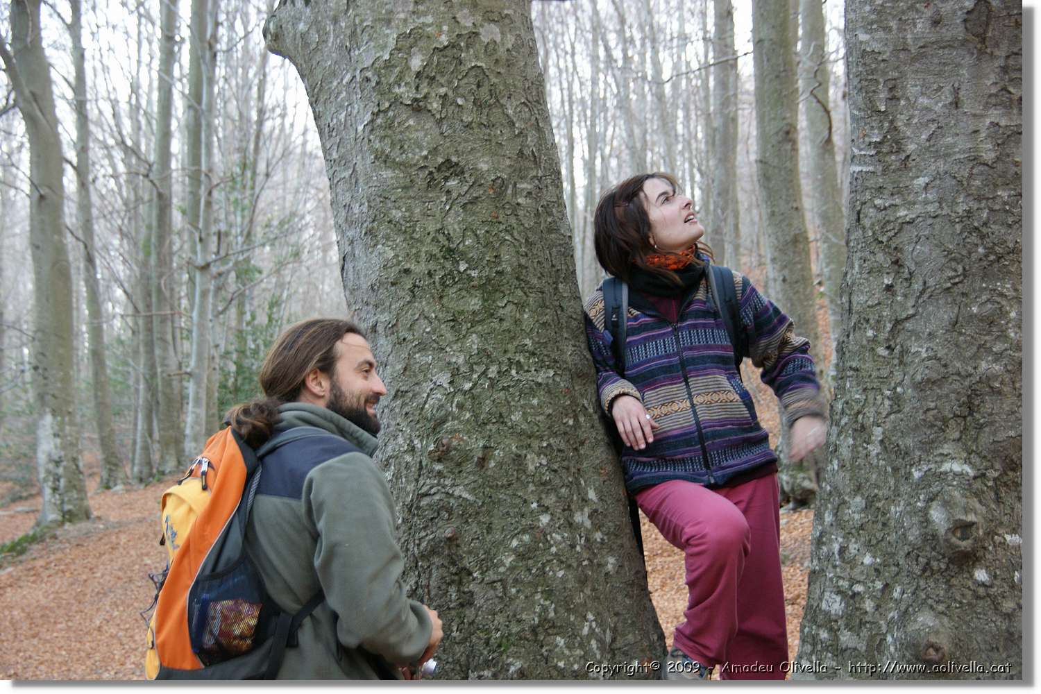Montseny_193.jpg