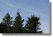 Montseny_127.jpg