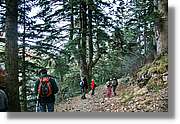Montseny_154.jpg